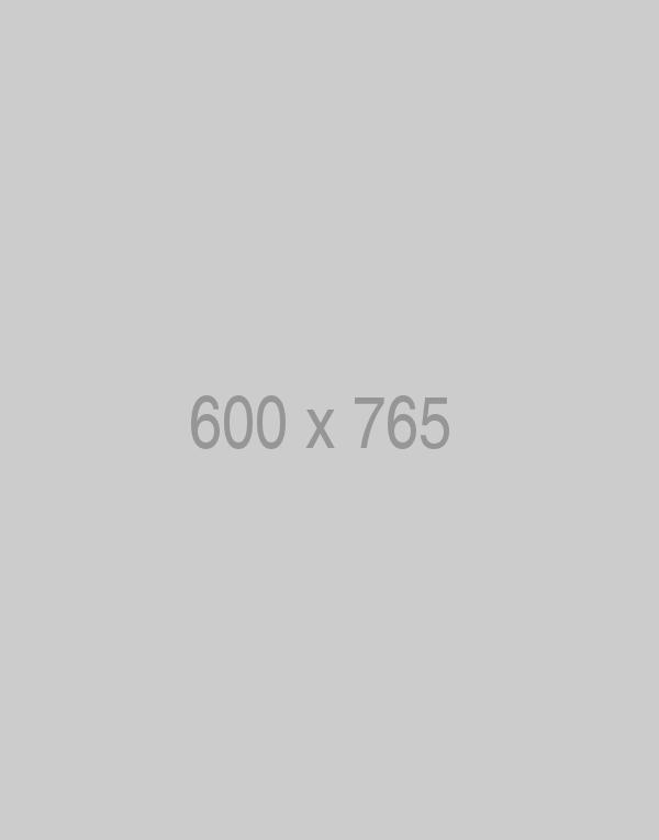 litho-600x765-ph
